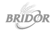 bridor-grey